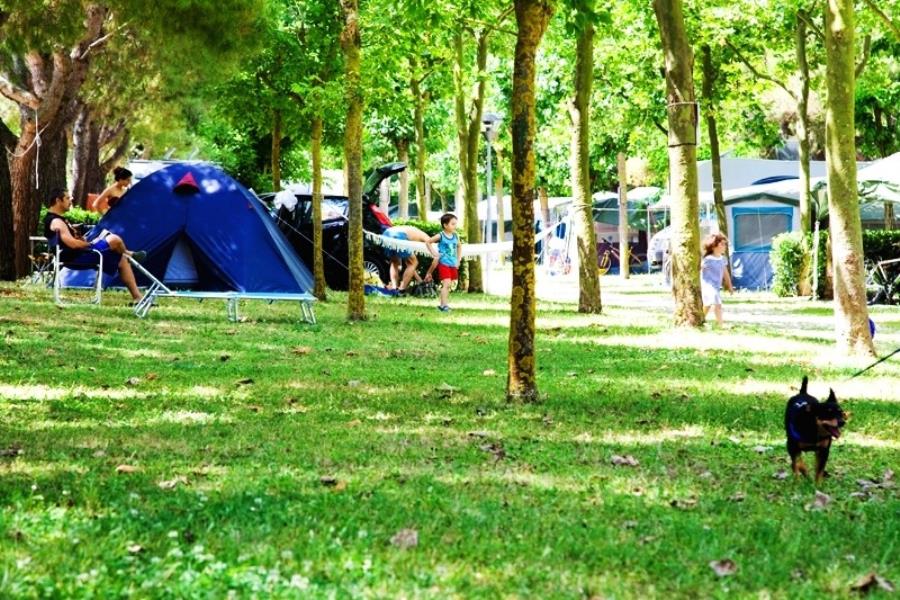 Numanablu Island Family & Sport Resort – foto 7