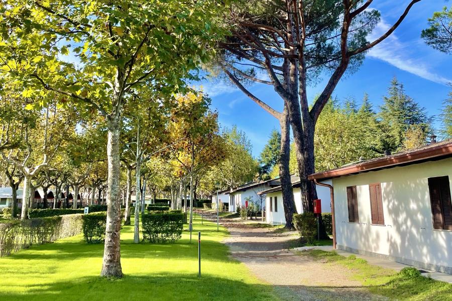 Camping Village Lago Maggiore – photo 12