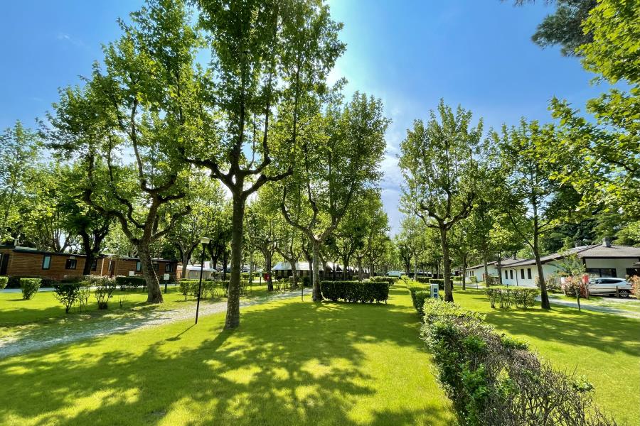Camping Village Lago Maggiore – photo 15