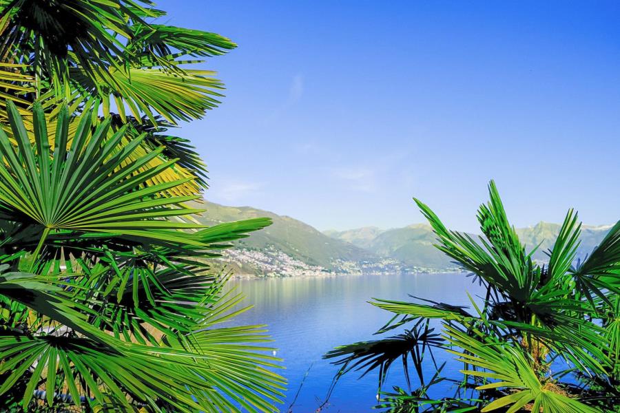 Lakeview Cannobio Camping & Resort – foto 5