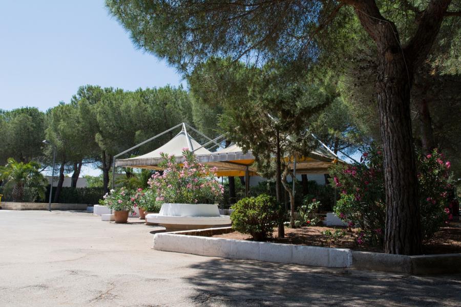 Villaggio Campeggio Cala dei Ginepri  – Foto 9