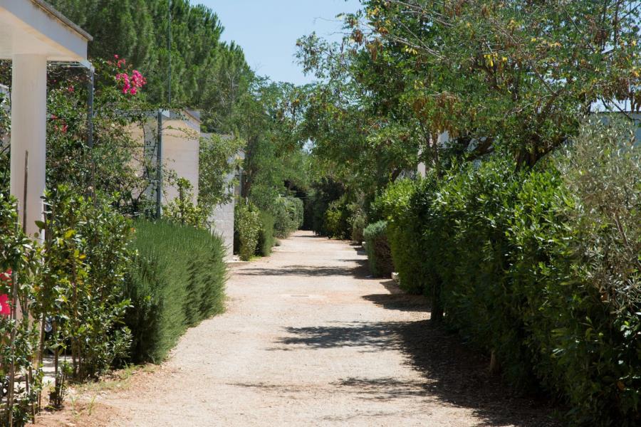 Villaggio Campeggio Cala dei Ginepri  – Foto 19