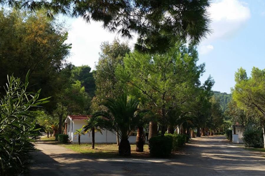 Camping Villaggio Turistico Grotta dell'Acqua  – Foto 9