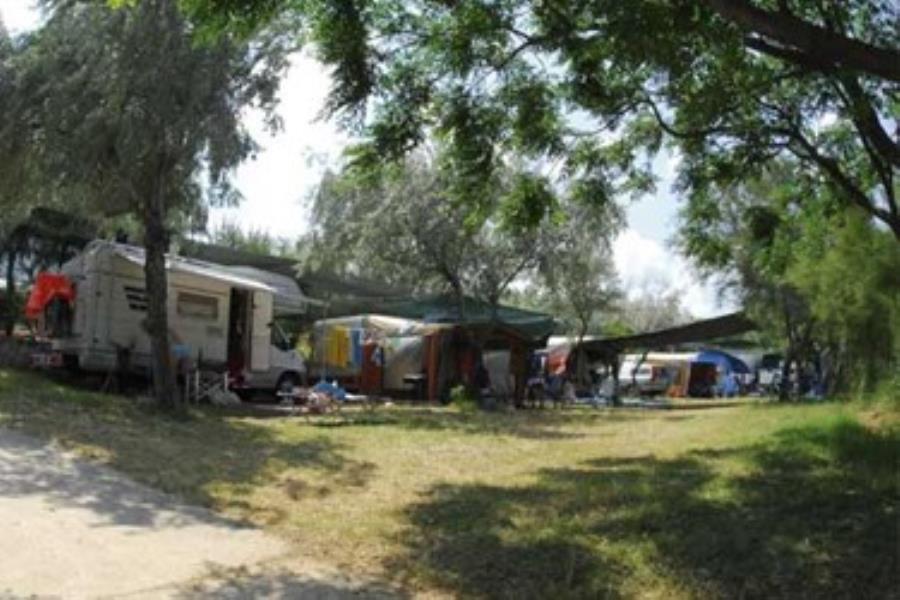 Holiday Village