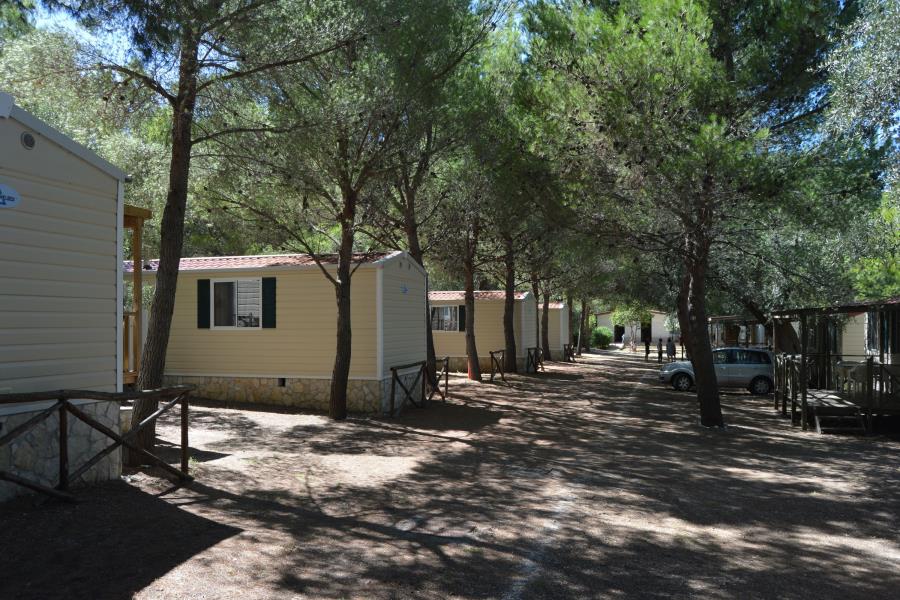 Camping Lama Le Canne  – foto 1