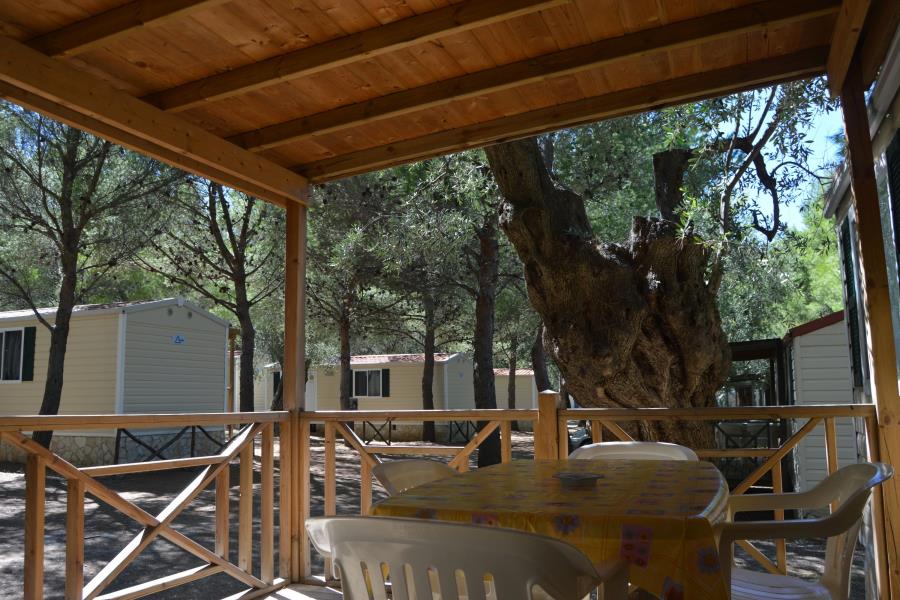 Camping Lama Le Canne  – foto 2