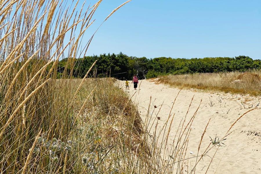 Agricampeggio La Pineta  – foto 2