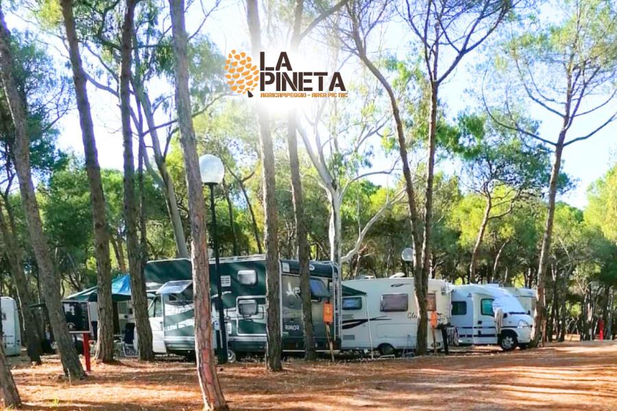 Agricampeggio La Pineta  – foto 6