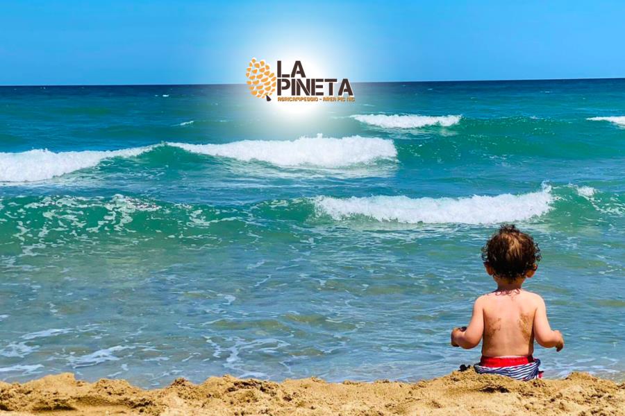 Agricampeggio La Pineta  – foto 7