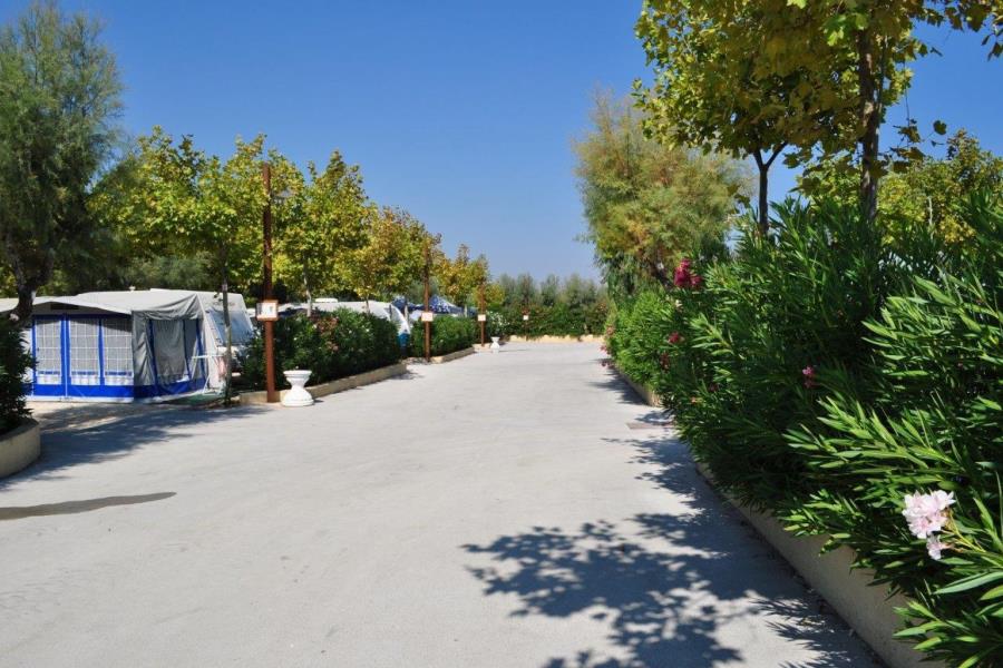 Villaggio Turistico Camping Oasi Le Dune Resort  – foto 4