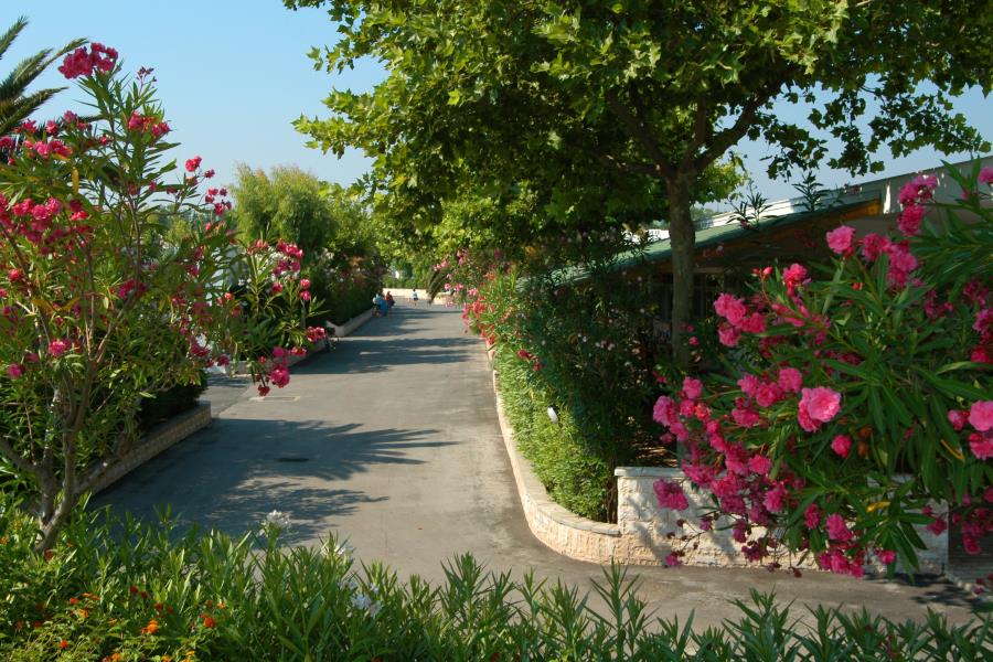 Villaggio Turistico Camping Oasi Le Dune Resort  – foto 12