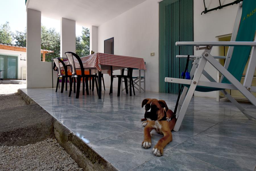 Camping La Masseria – Foto 11