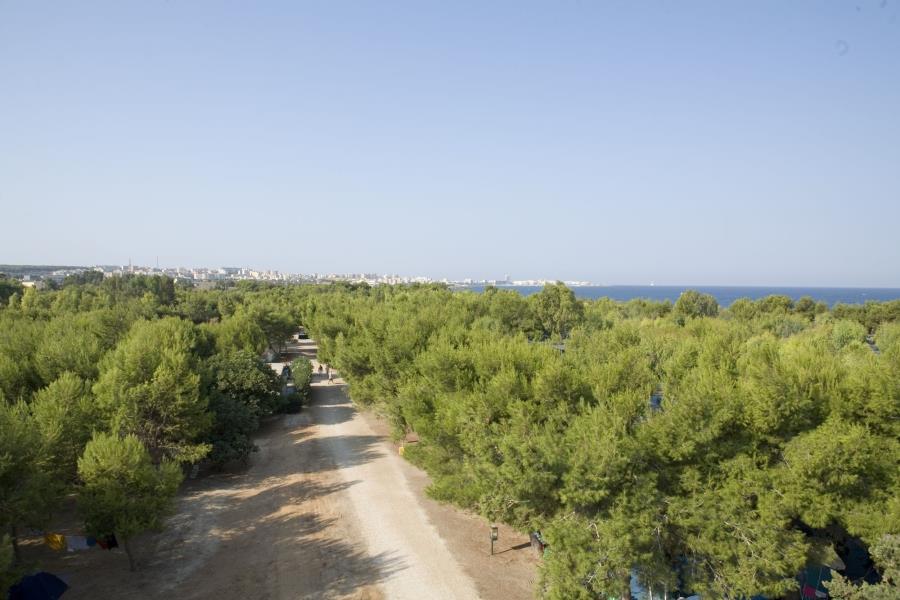 Camping La Masseria – Foto 5