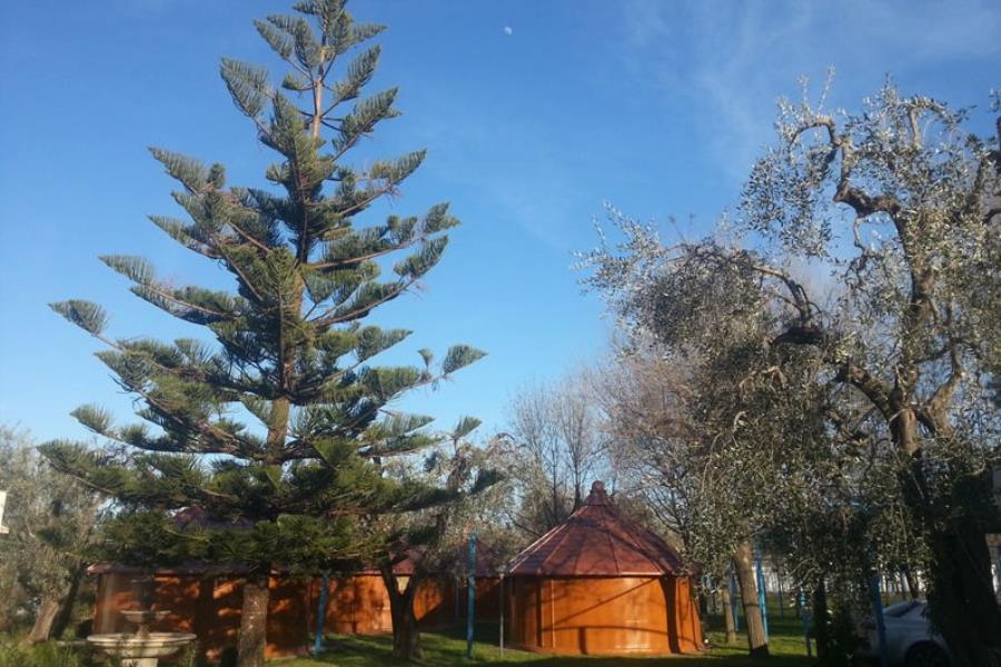 Camping Mattinata – foto 2