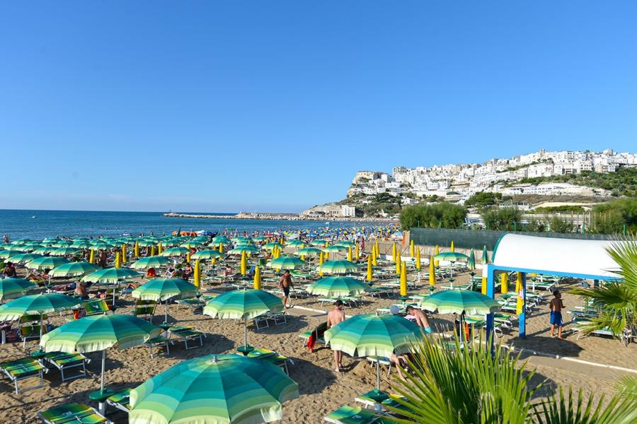 Villaggio Turistico Camping Parco Degli Ulivi 