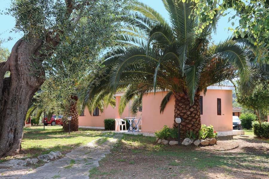 Villaggio Turistico Camping Parco Degli Ulivi  – foto 2