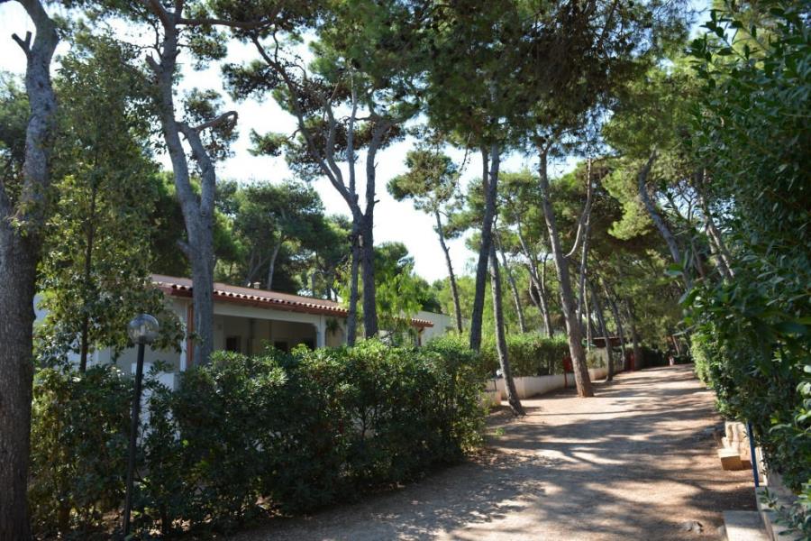 Villaggio Camping Pineta al Mare  – foto 4