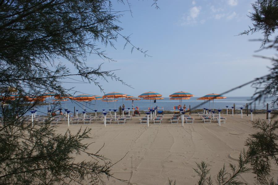 Villaggio Camping Pineta al Mare  – foto 7