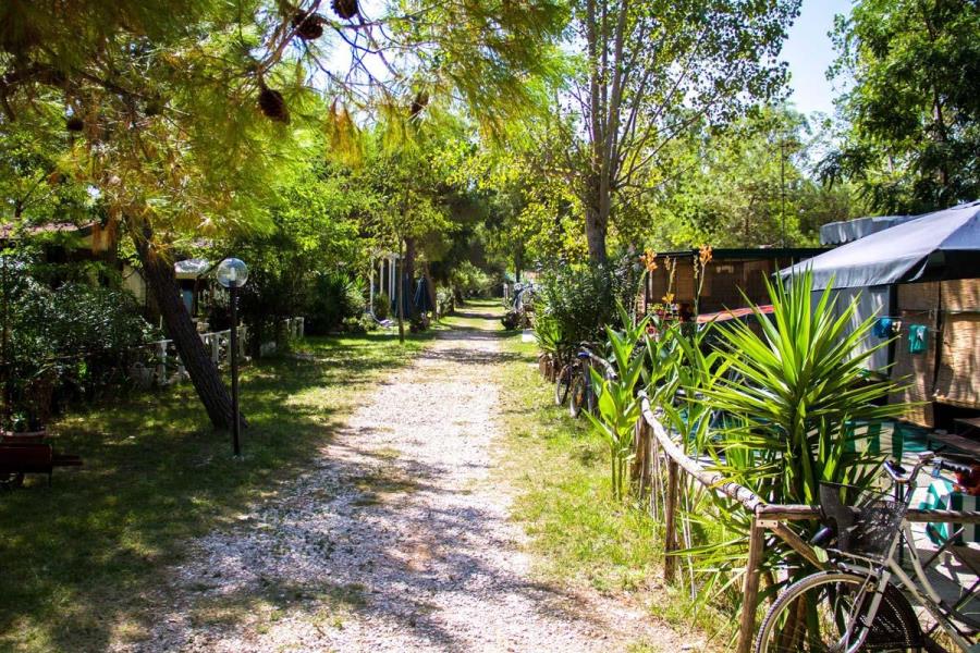Camping Rancho  – foto 5