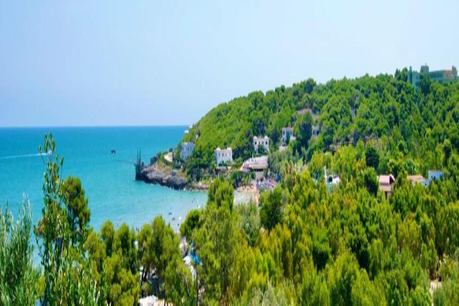 Villaggio Turistico Residence M3  – photo 14