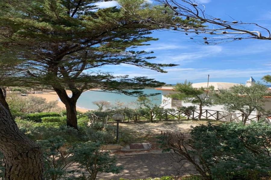 Villaggio Turistico Residence M3  – photo 18