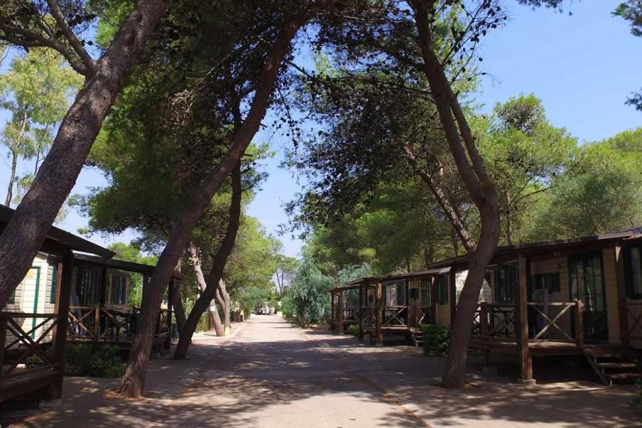 Camping Santa Maria di Leuca  – foto 6