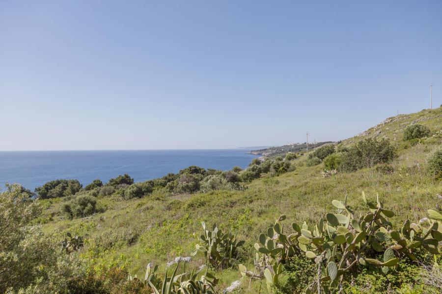Camping La Scogliera  – foto 1