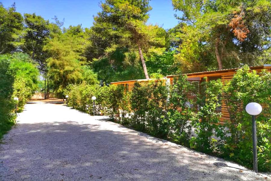 Village Camping Sentinella  – foto 18