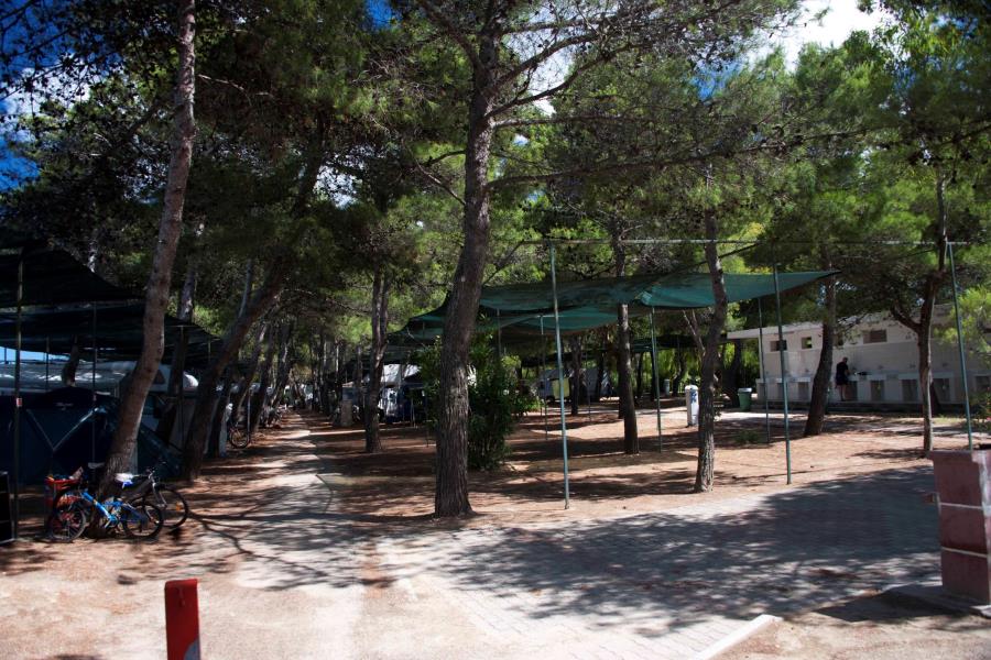 Village Camping Spiaggia Lunga  – foto 5