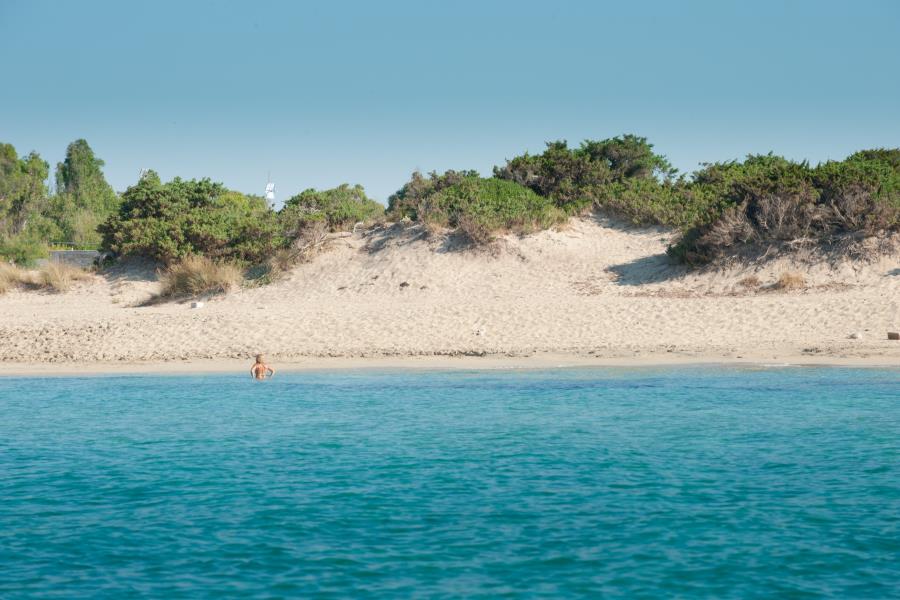 Camping Torre Castiglione  – Foto 3