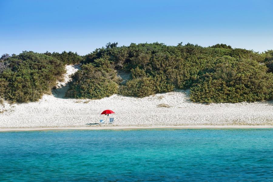 Camping Torre Castiglione  – Foto 6