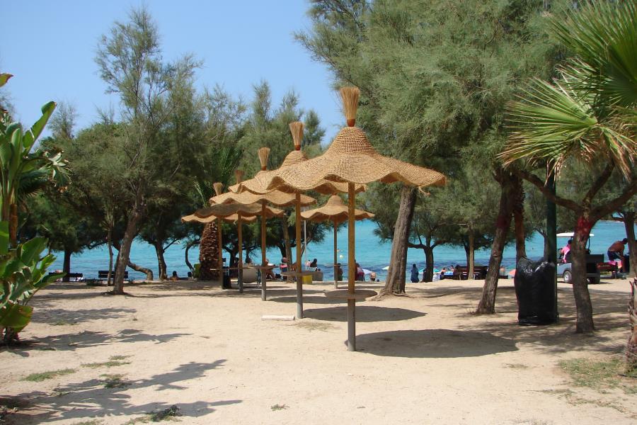 Camping Torre Castiglione  – Foto 14