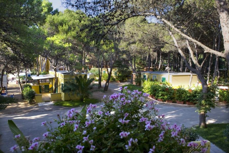 Camping La Vecchia Torre  – foto 2
