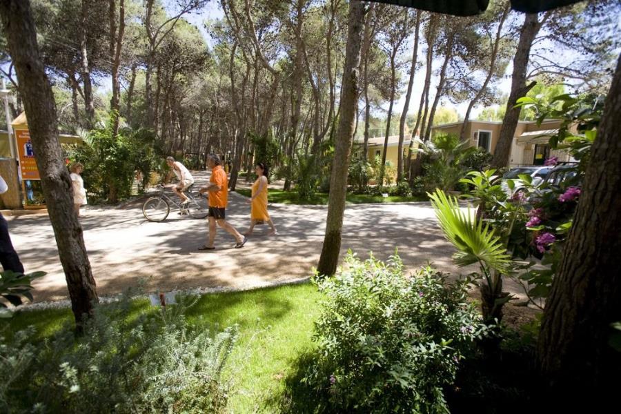 Camping La Vecchia Torre  – foto 4