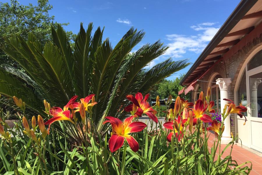Camping Villaggio Rubicone  – foto 17