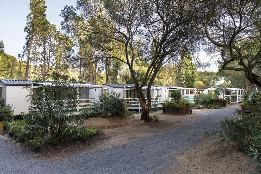 Camping Flumendosa – photo 4
