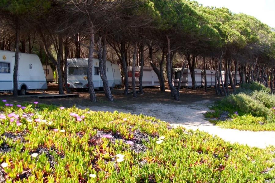 Camping Iscrixedda  – Foto 8