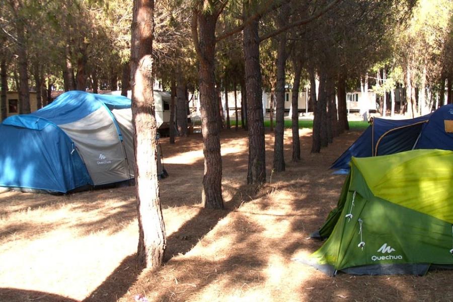 Camping Iscrixedda  – Foto 10