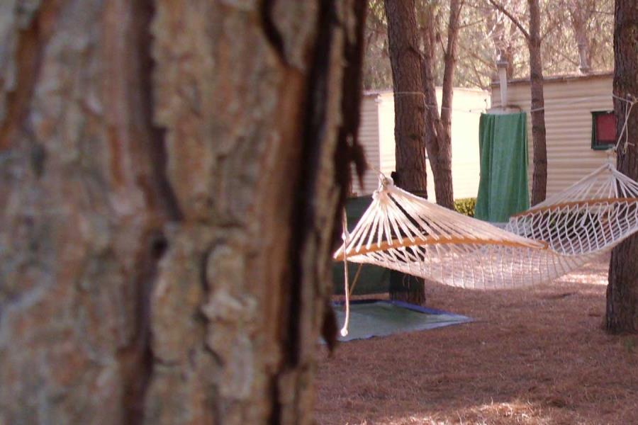 Camping Iscrixedda  – Foto 5