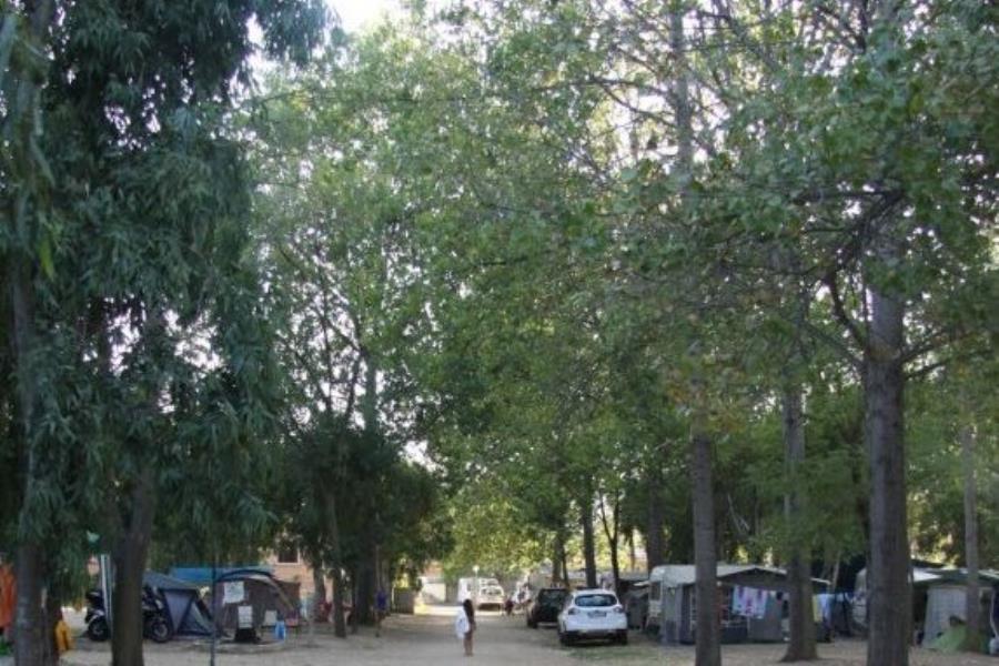Camping  San Teodoro La Cinta  – foto 7