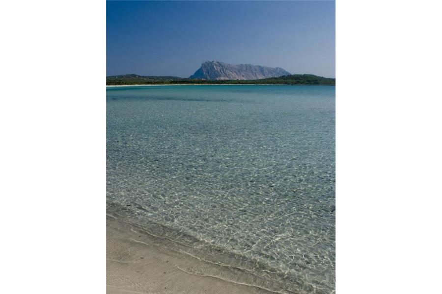 Camping  San Teodoro La Cinta  – foto 10