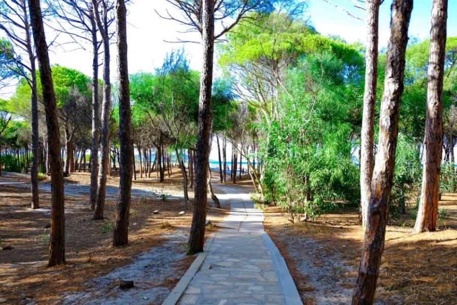 Camping Selema – foto 8