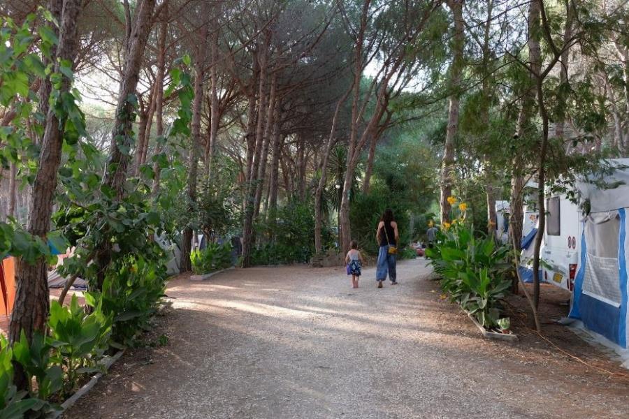 Camping Selema – foto 10