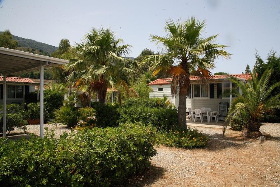 Camping Residence Il Cicero  – photo 9