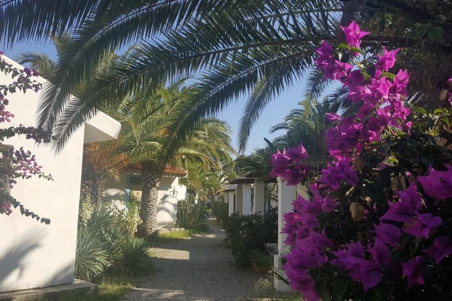 Camping Residence Il Cicero  – photo 11