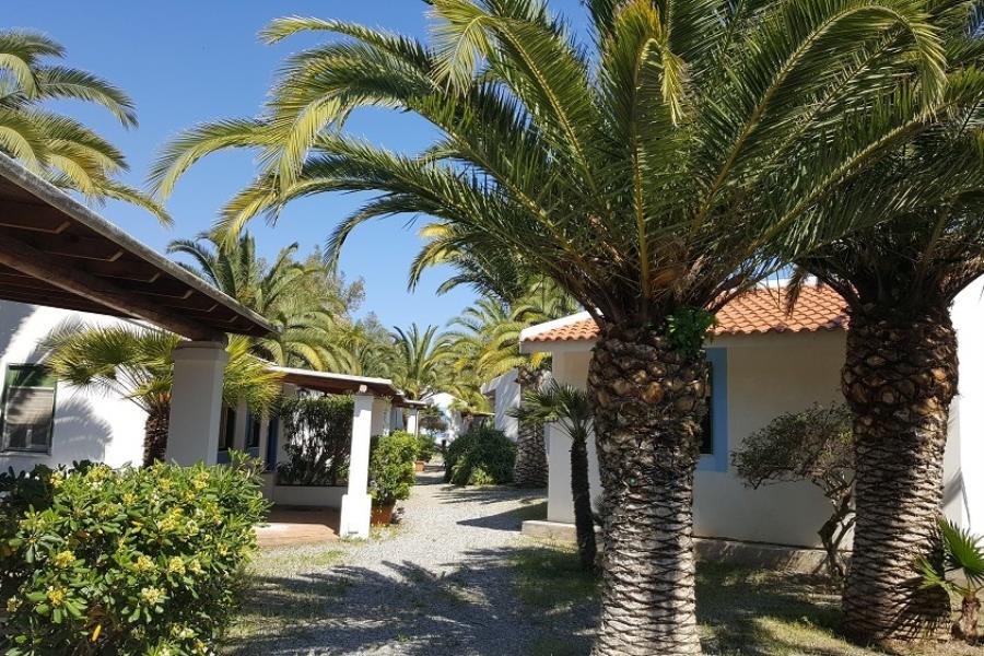 Camping Residence Il Cicero  – photo 12