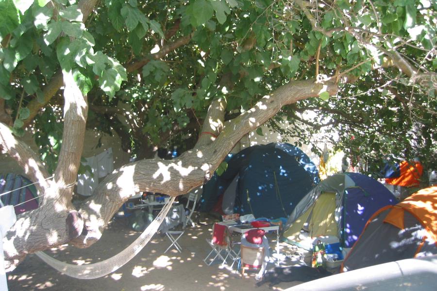 Helios Camping – foto 7