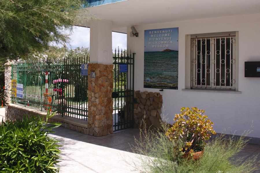 Camping  Internazionale La Playa  – photo 7