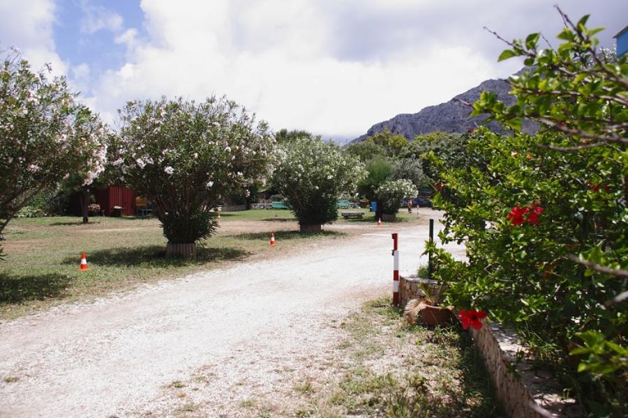 Camping  Internazionale La Playa  – photo 9