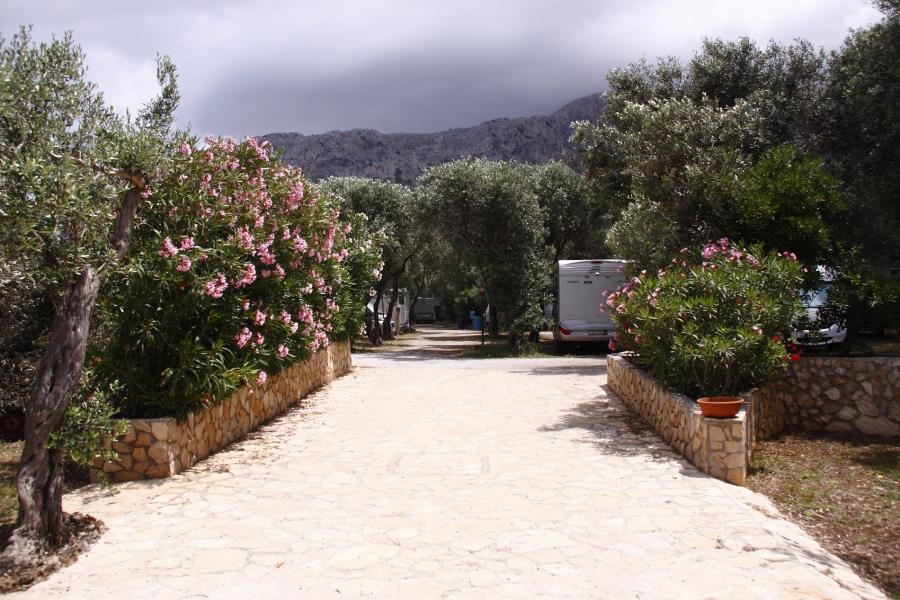 Camping  Internazionale La Playa  – photo 12